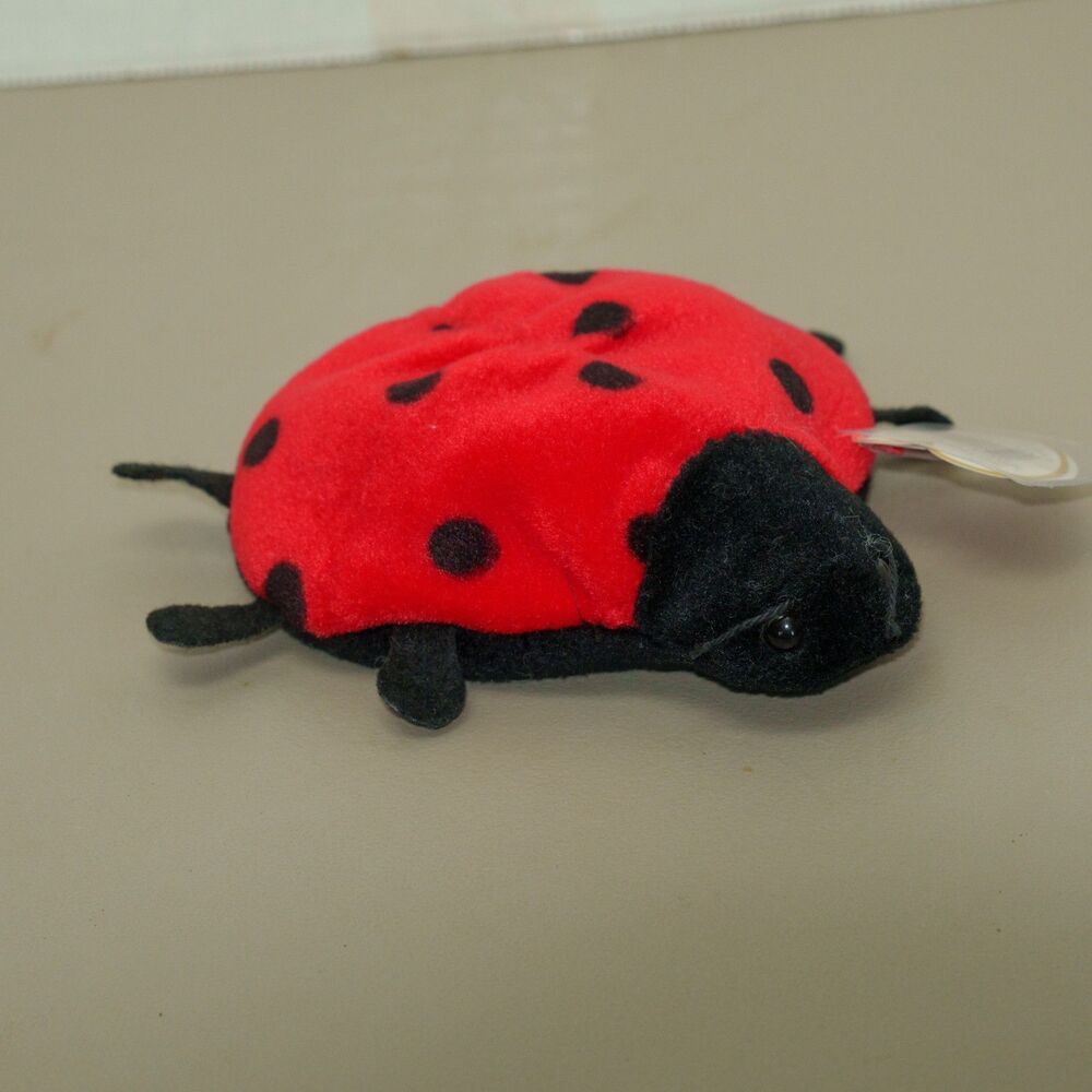 Ty Beanie Babies Lucky Ladybug